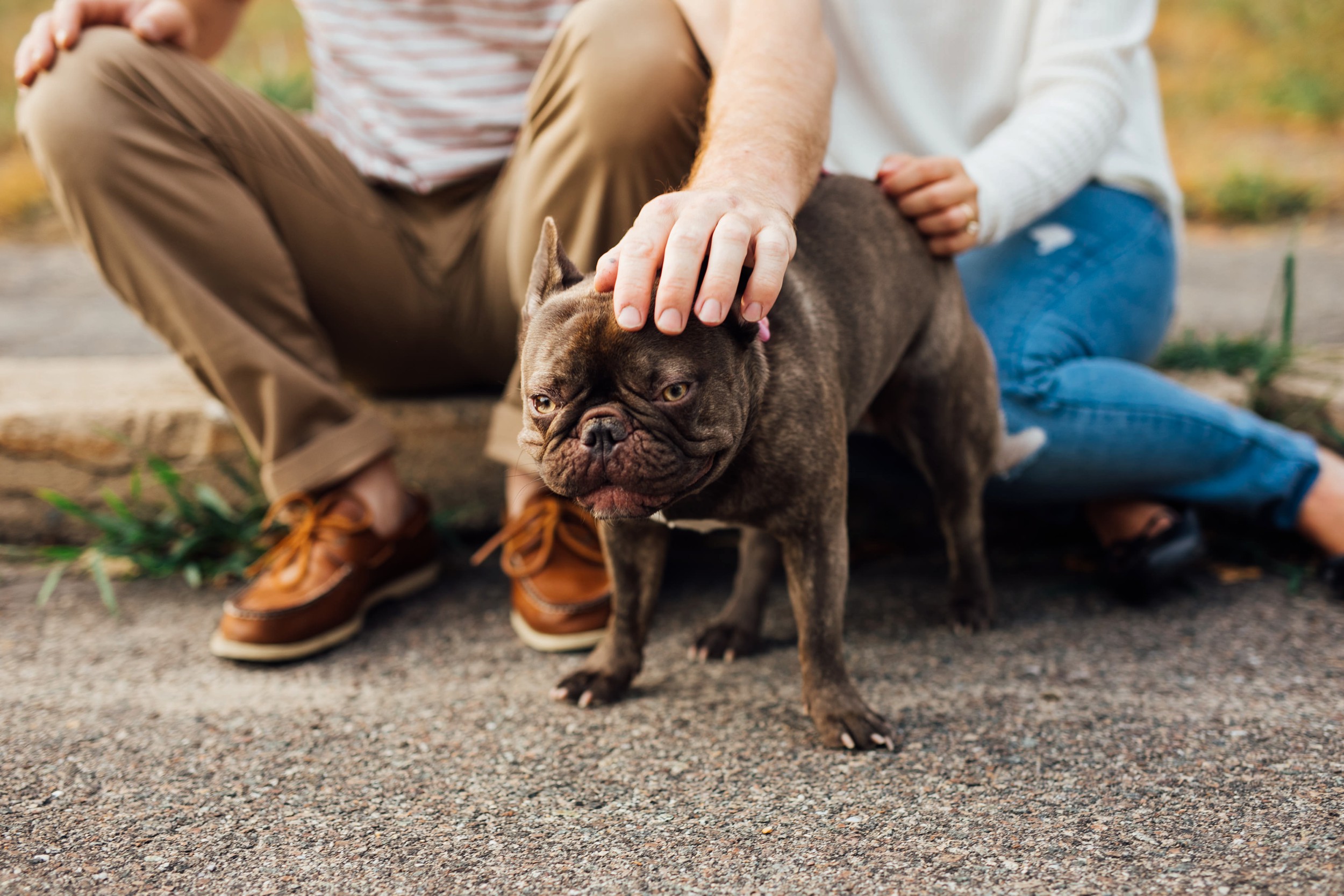colorful wedding photographer