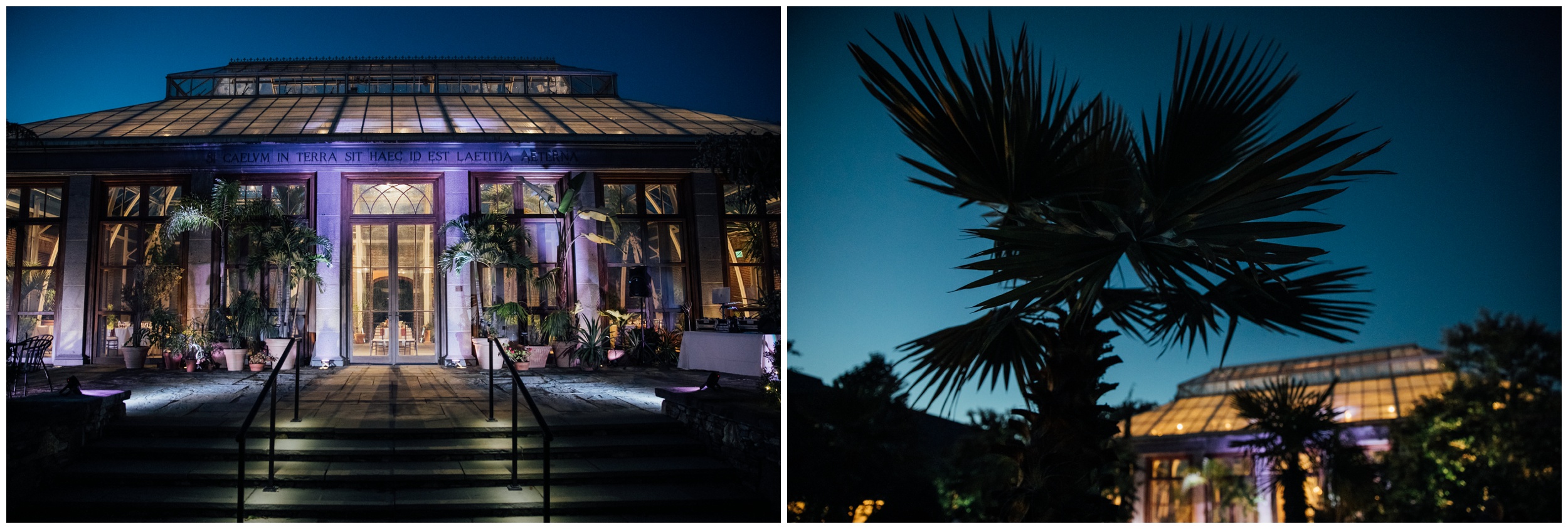 Wedding reception at New England Botanic Garden at Tower Hill conservatory in Massachusetts