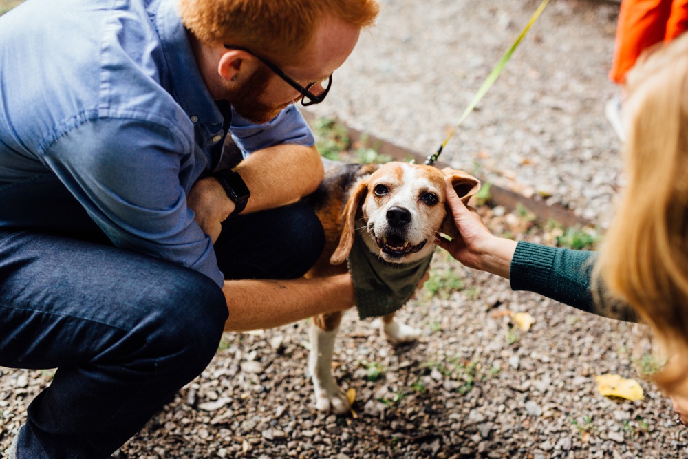 Arnold Arboretum Engagement Session 
