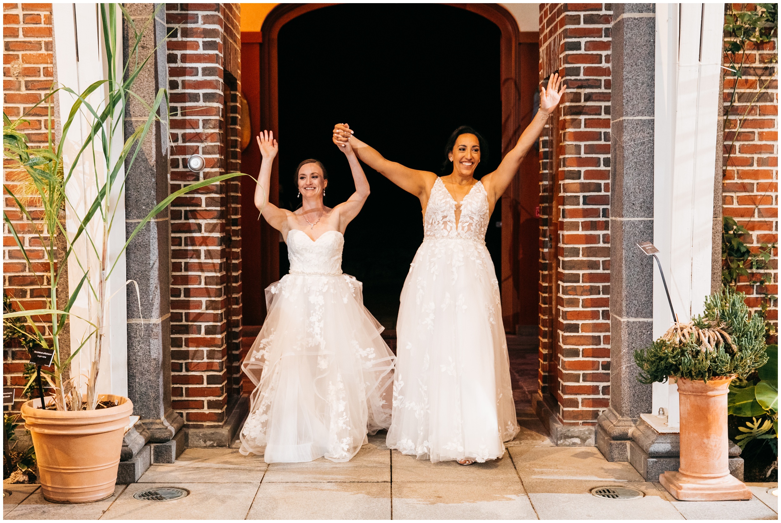 Wedding reception at New England Botanic Garden at Tower Hill conservatory in Massachusetts