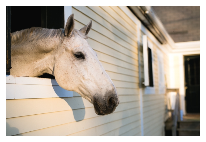 Gathering Farm, South Hamilton MA