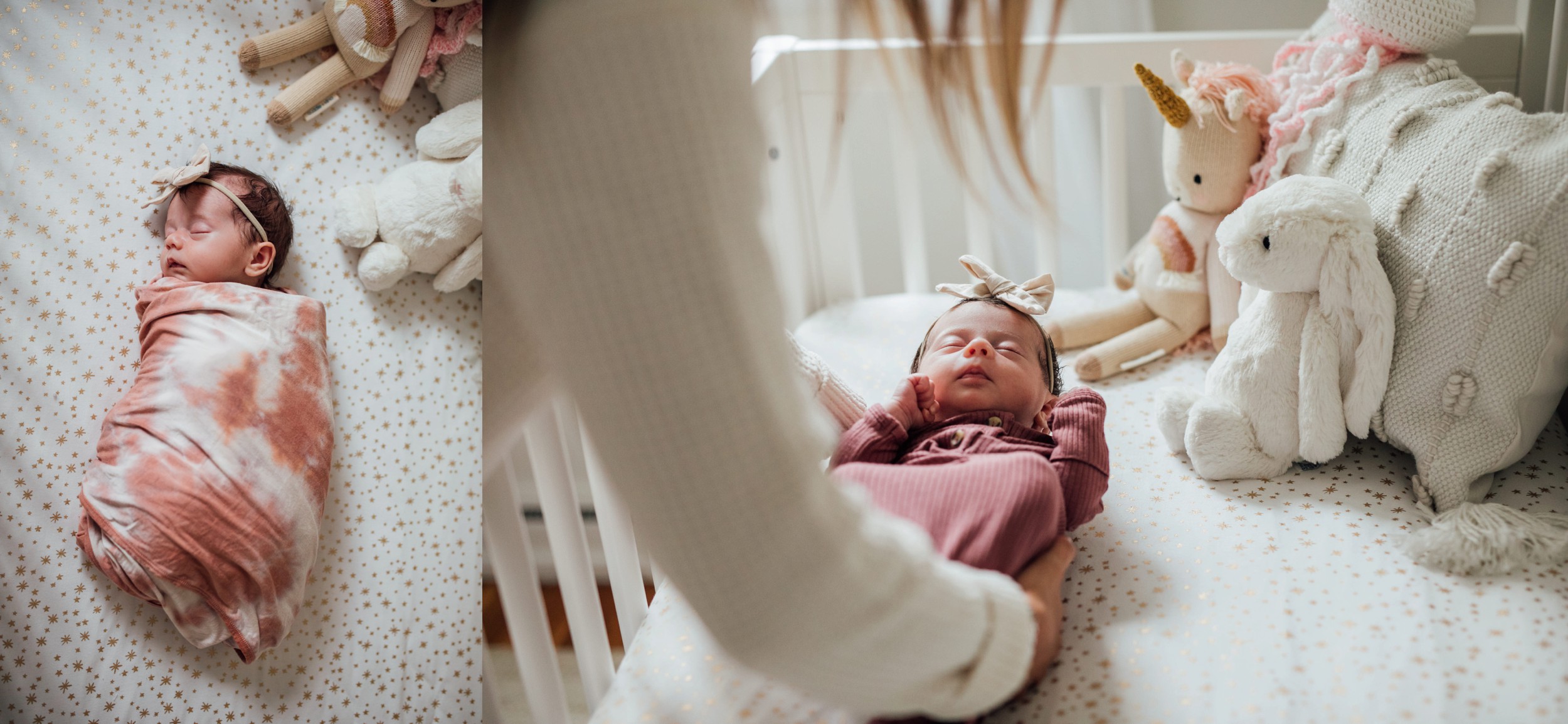 Boston MA Family Photography