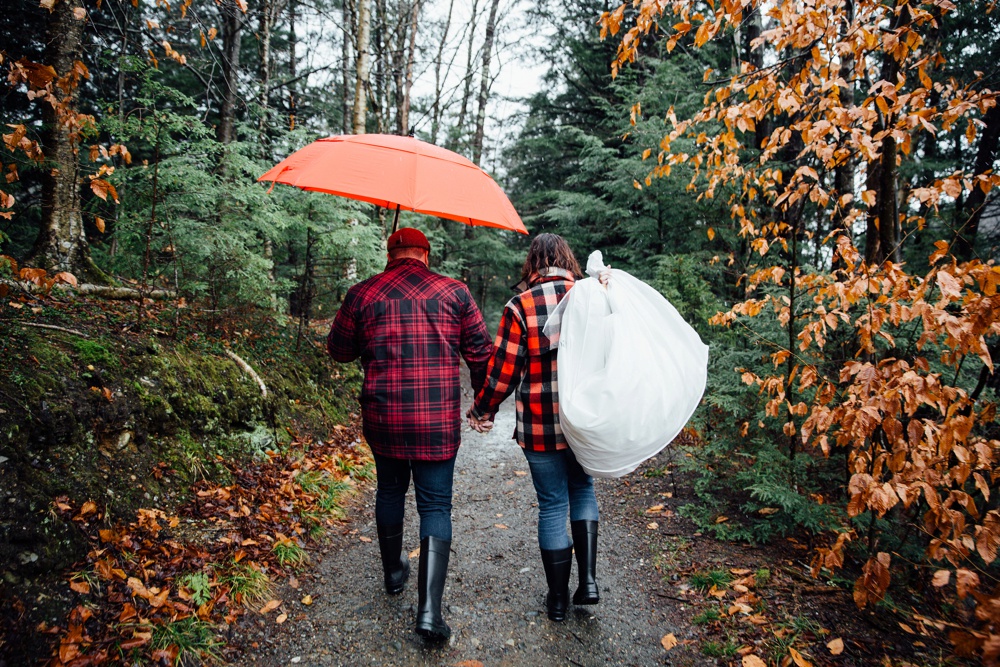 Warren Falls Vermont 