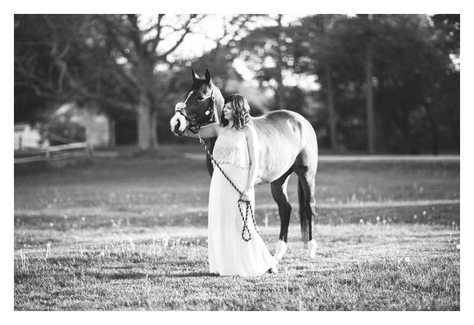Horse at Gathering Farm