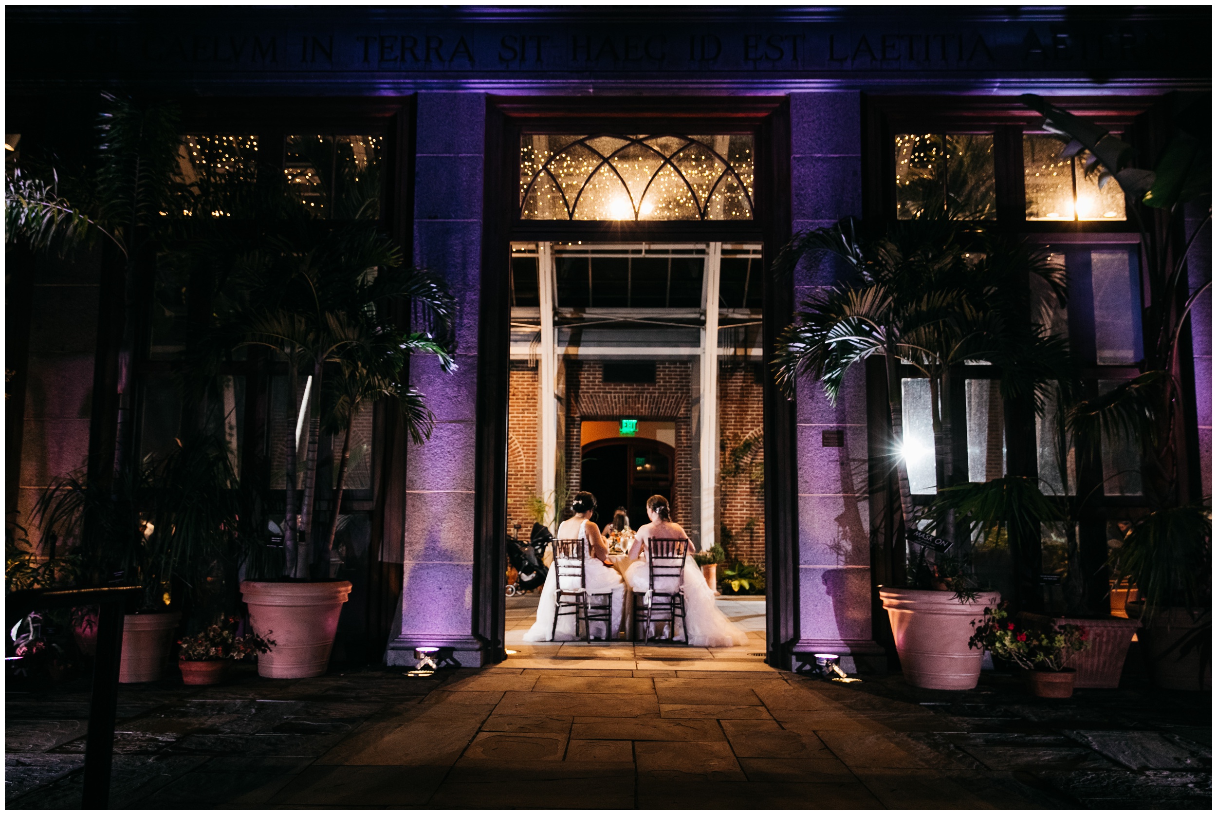 Wedding reception at New England Botanic Garden at Tower Hill conservatory in Massachusetts