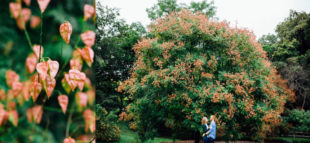 fall engagement session