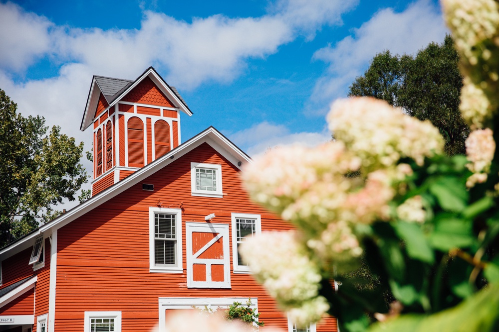 Vermont wedding photographer 