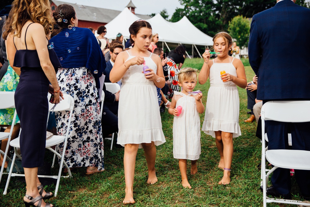 The Inn at Mount Pleasant Wedding 