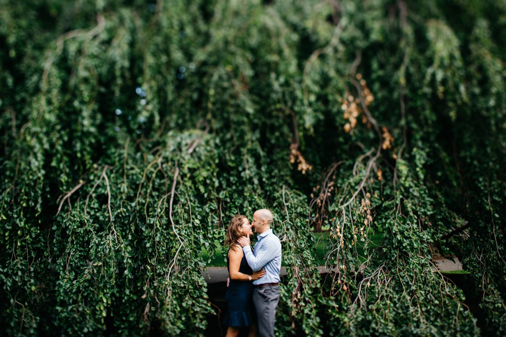 Boston Public Garden